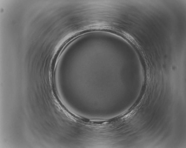 X0000057081334200509161554