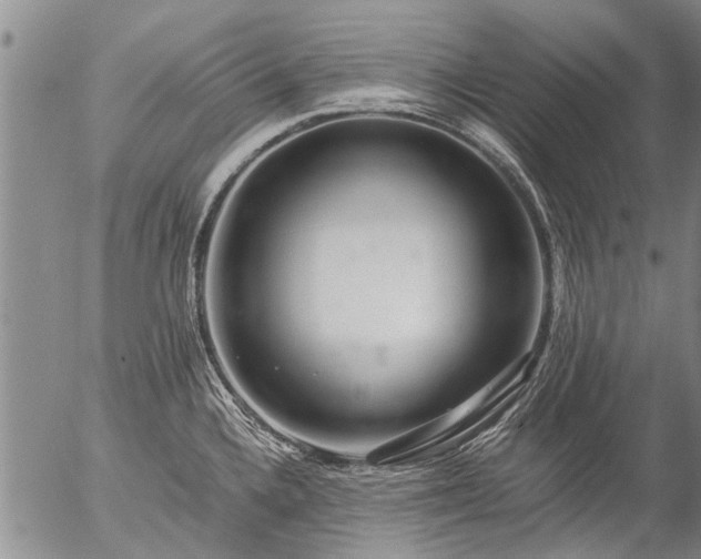 X0000057081336200509161554