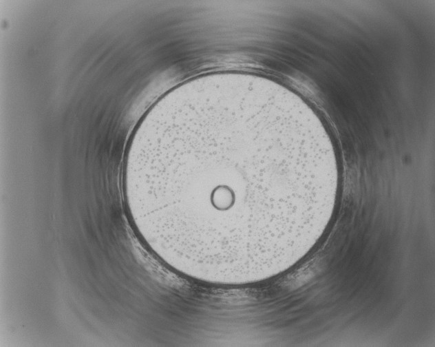 X0000057081338200509161554