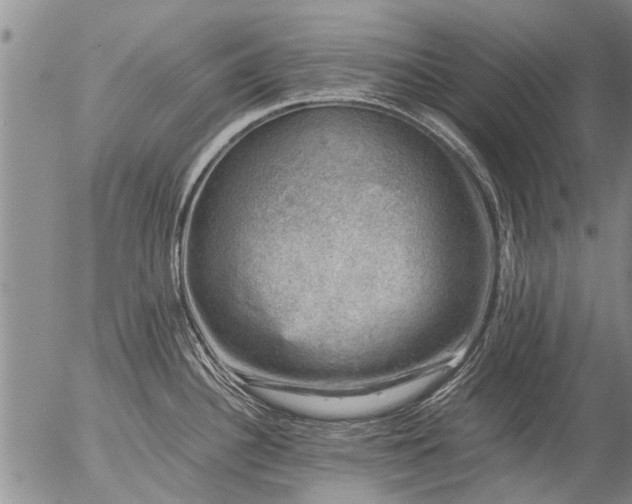 X0000057081340200509161554