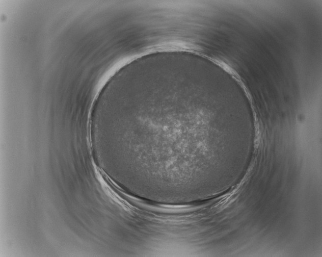 X0000057081342200509161554