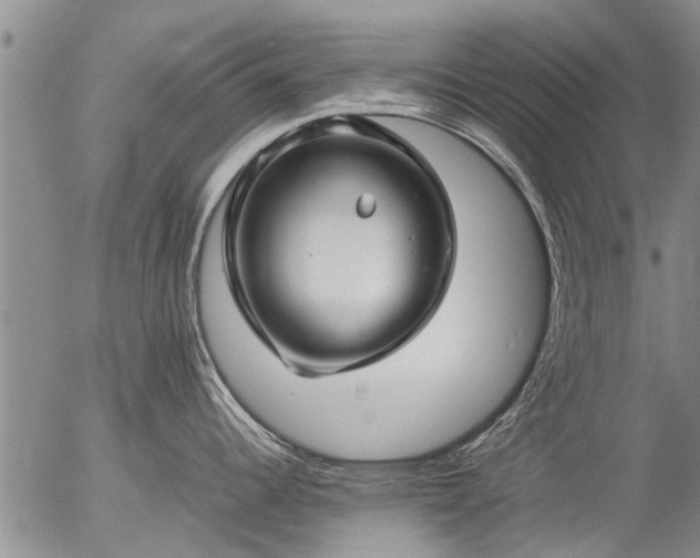 X0000057081344200509161554