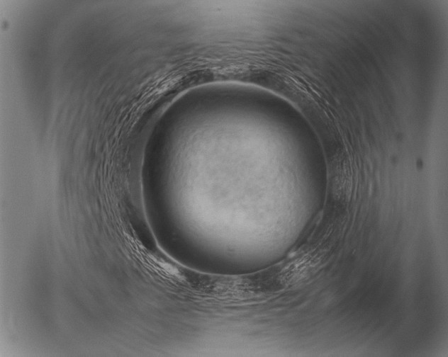 X0000057081345200509161554