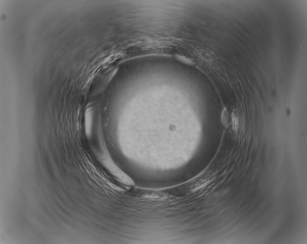 X0000057081348200509161554