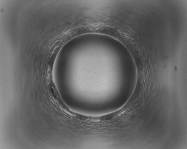 X0000057081349200509161554