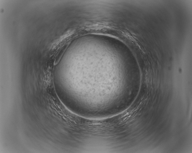 X0000057081350200509161553