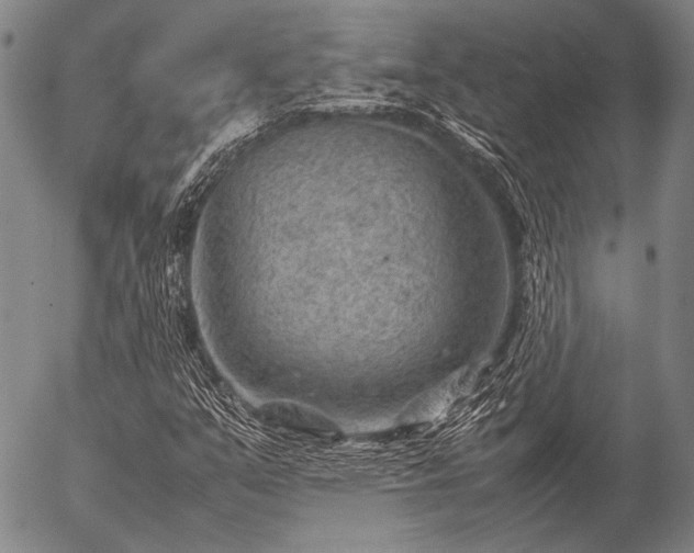 X0000057081351200509161553