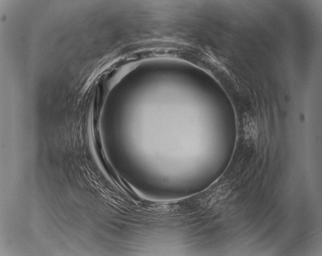 X0000057081352200509161553