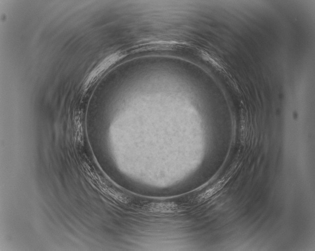 X0000057081354200509161553