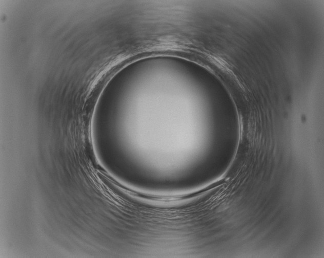 X0000057081356200509161553