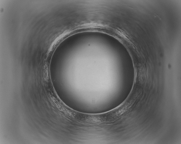 X0000057081358200509161553