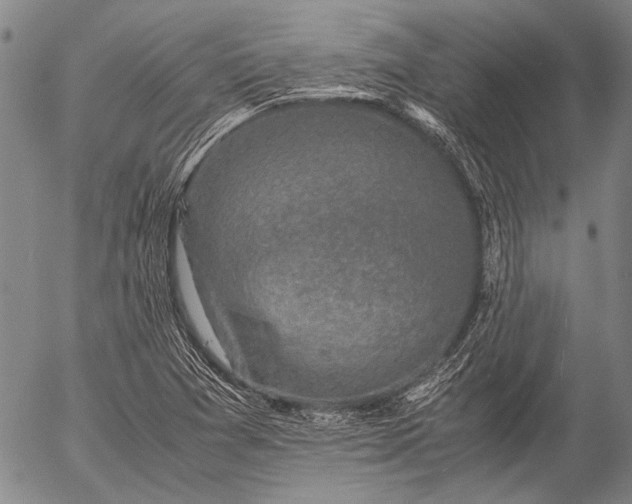 X0000057081361200509161553