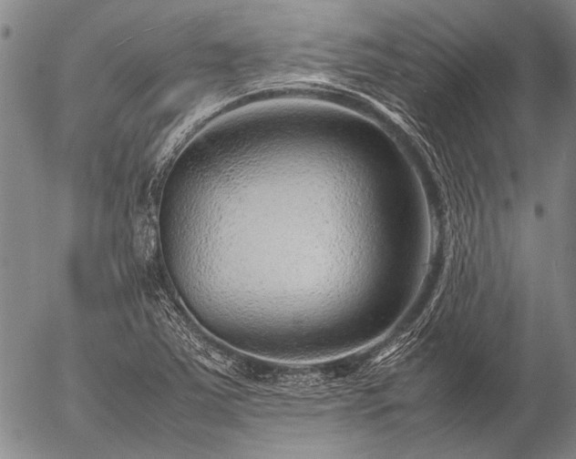 X0000057081363200509161553