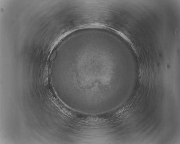 X0000057081364200509161553