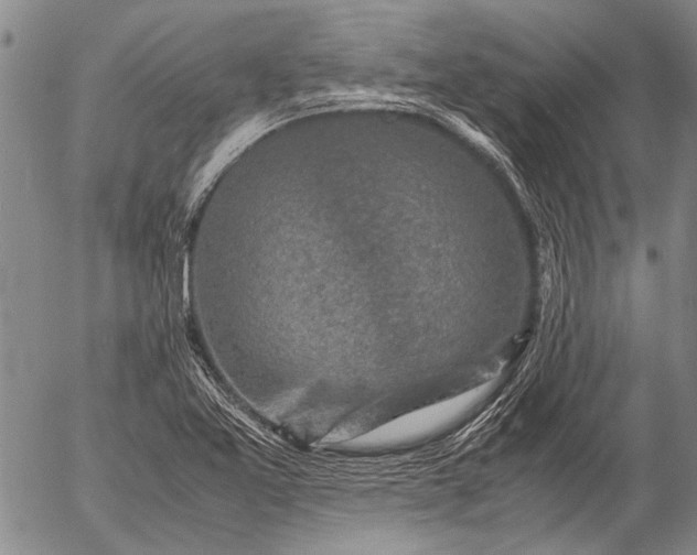 X0000057081365200509161553