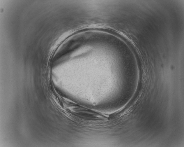 X0000057081367200509161553