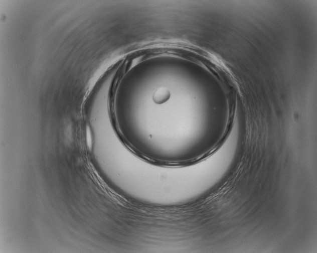 X0000057081368200509161553