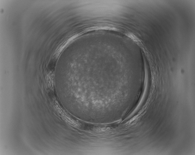 X0000057081369200509161553