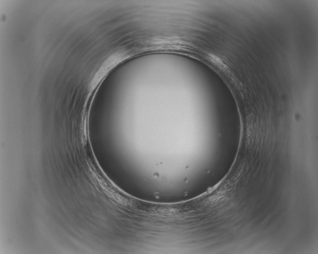 X0000057081370200509161553