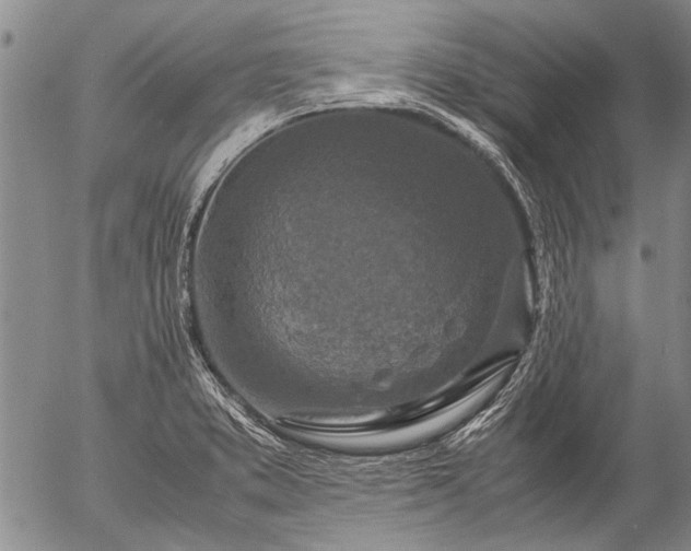 X0000057081373200509161553