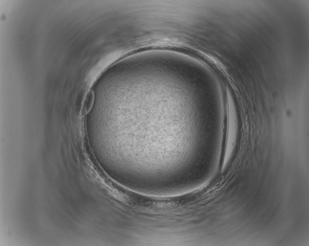 X0000057081375200509161553