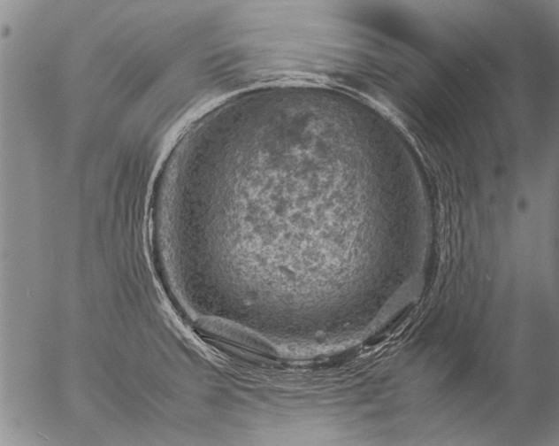 X0000057081379200509161553