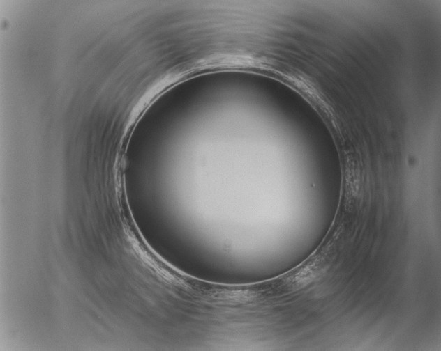 X0000057081382200509161553