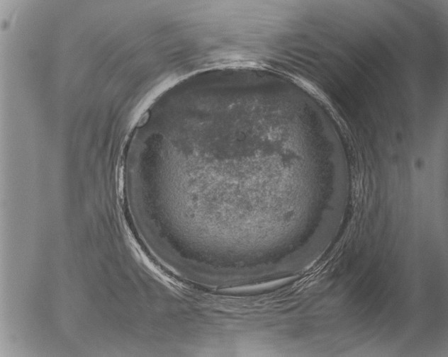 X0000057081383200509161553