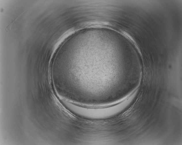 X0000057081384200509161553