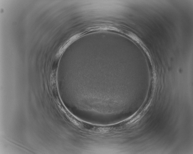 X0000057081385200509161553