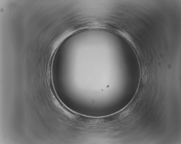 X0000057081387200509161553