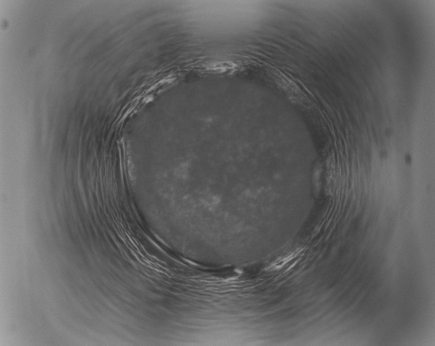 X0000057081394200509161552