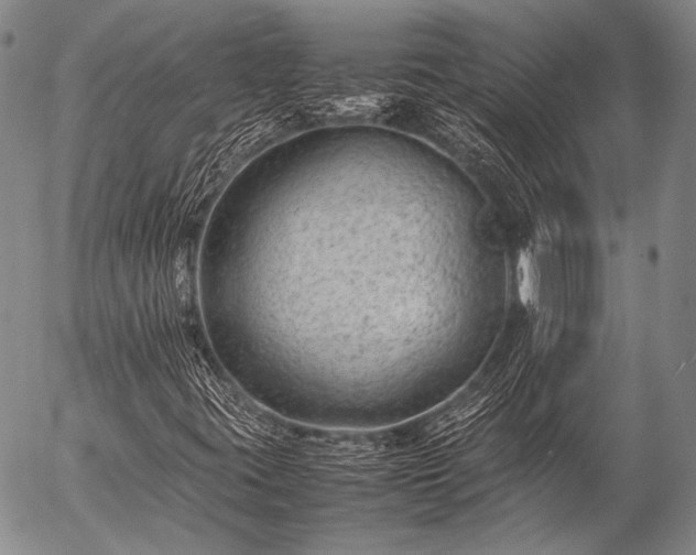 X0000057081395200509161552