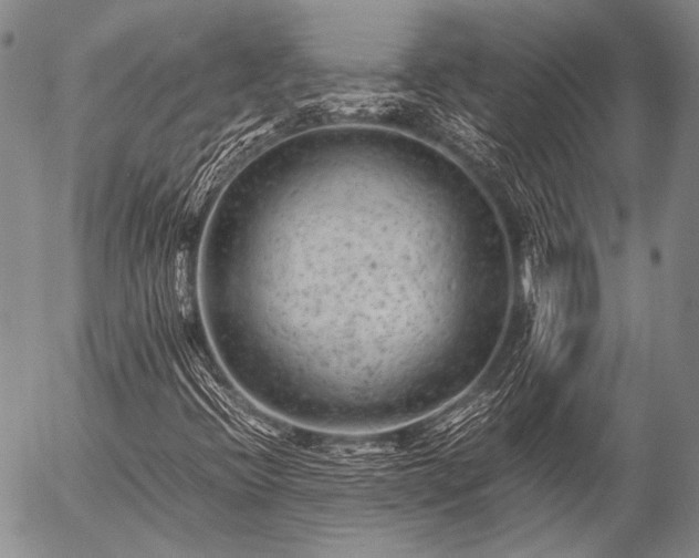 X0000057081396200509161552