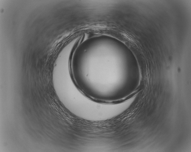 X0000057081398200509161552