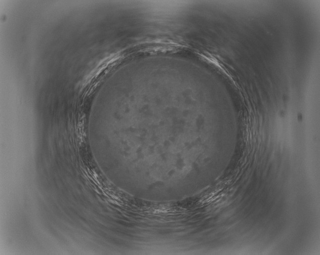 X0000057081399200509161552