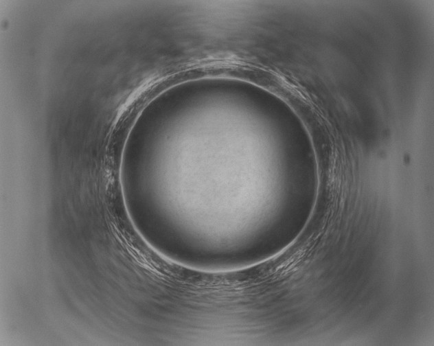 X0000057081400200509161552