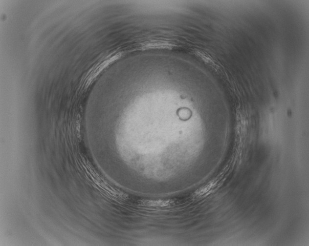 X0000057081401200509161552