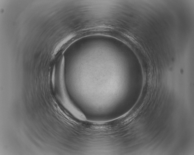 X0000057081402200509161552