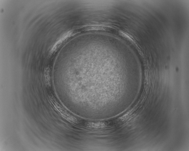 X0000057081403200509161552