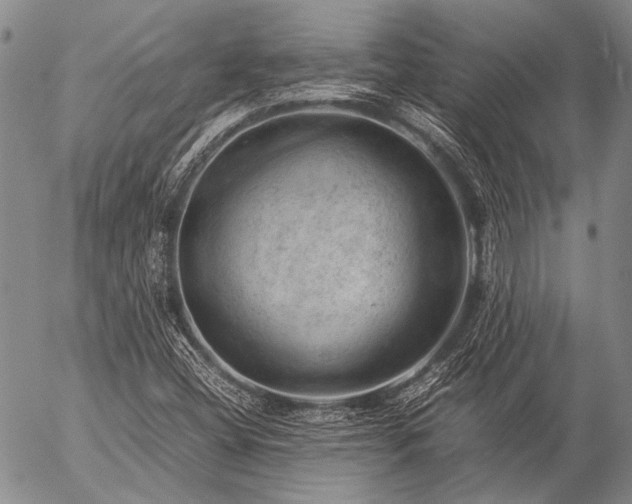 X0000057081404200509161552