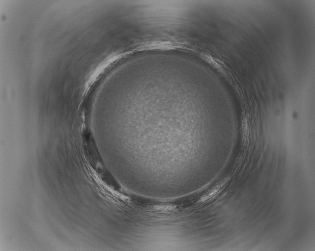 X0000057081406200509161552