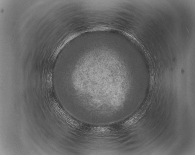 X0000057081409200509161552