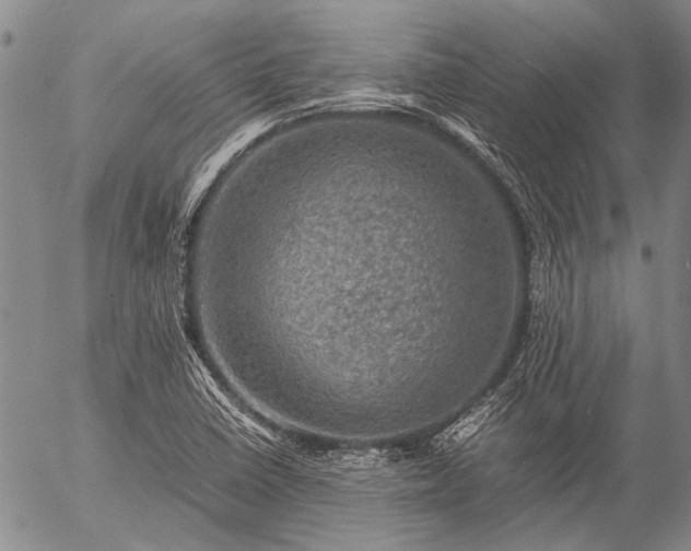 X0000057081410200509161552