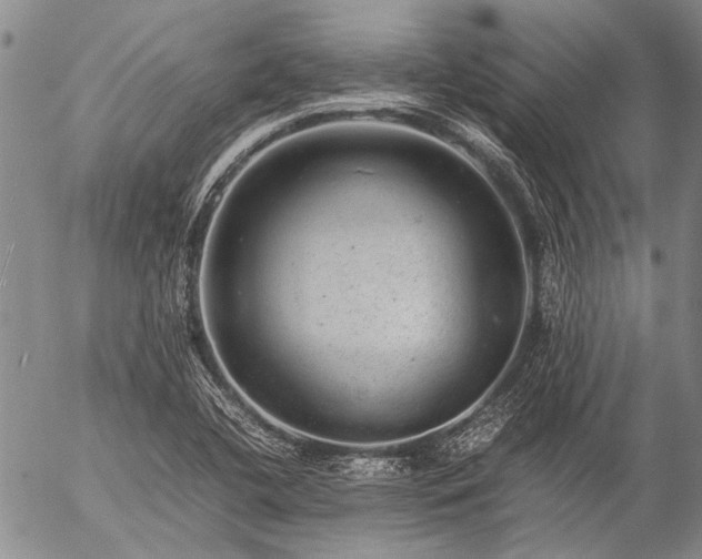 X0000057081412200509161552