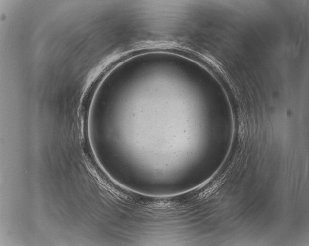 X0000057081414200509161552