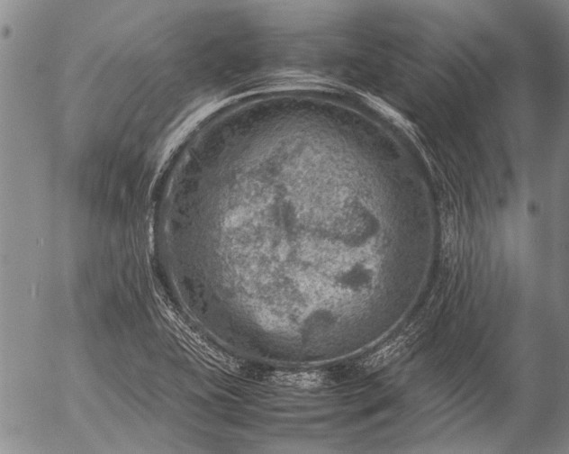 X0000057081415200509161552