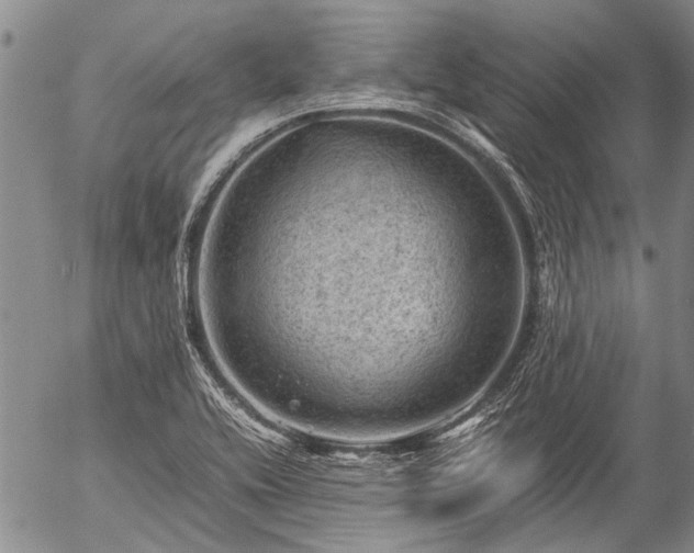 X0000057081416200509161552