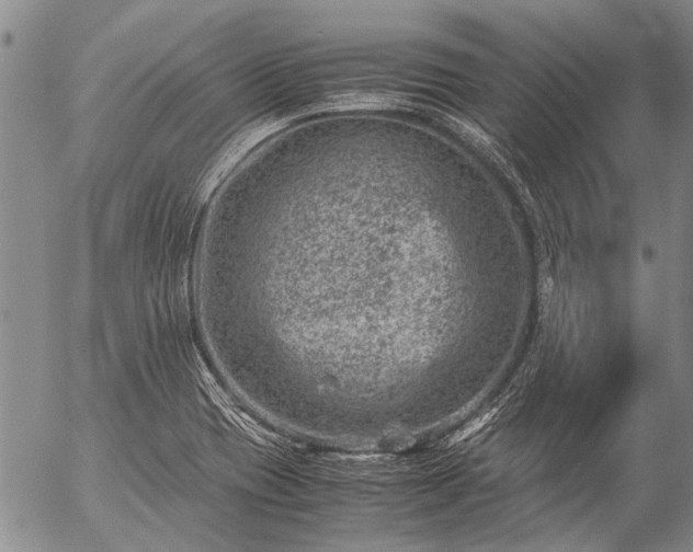 X0000057081417200509161552