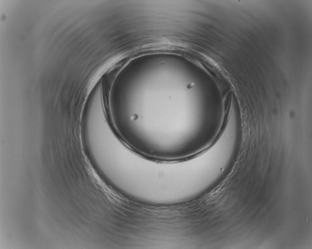 X0000057081418200509161552